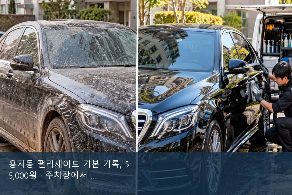 용지동 팰리세이드 기본 기록, 55,000원 · 주차장에서 부른 날