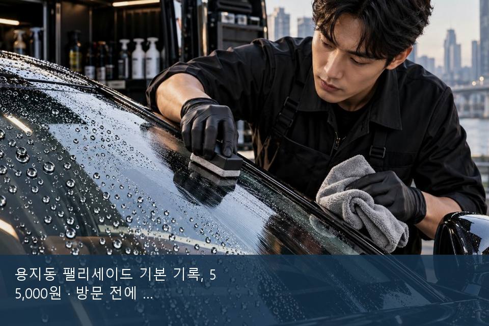 용지동 팰리세이드 기본 기록, 55,000원 · 방문 전에 확인한 것